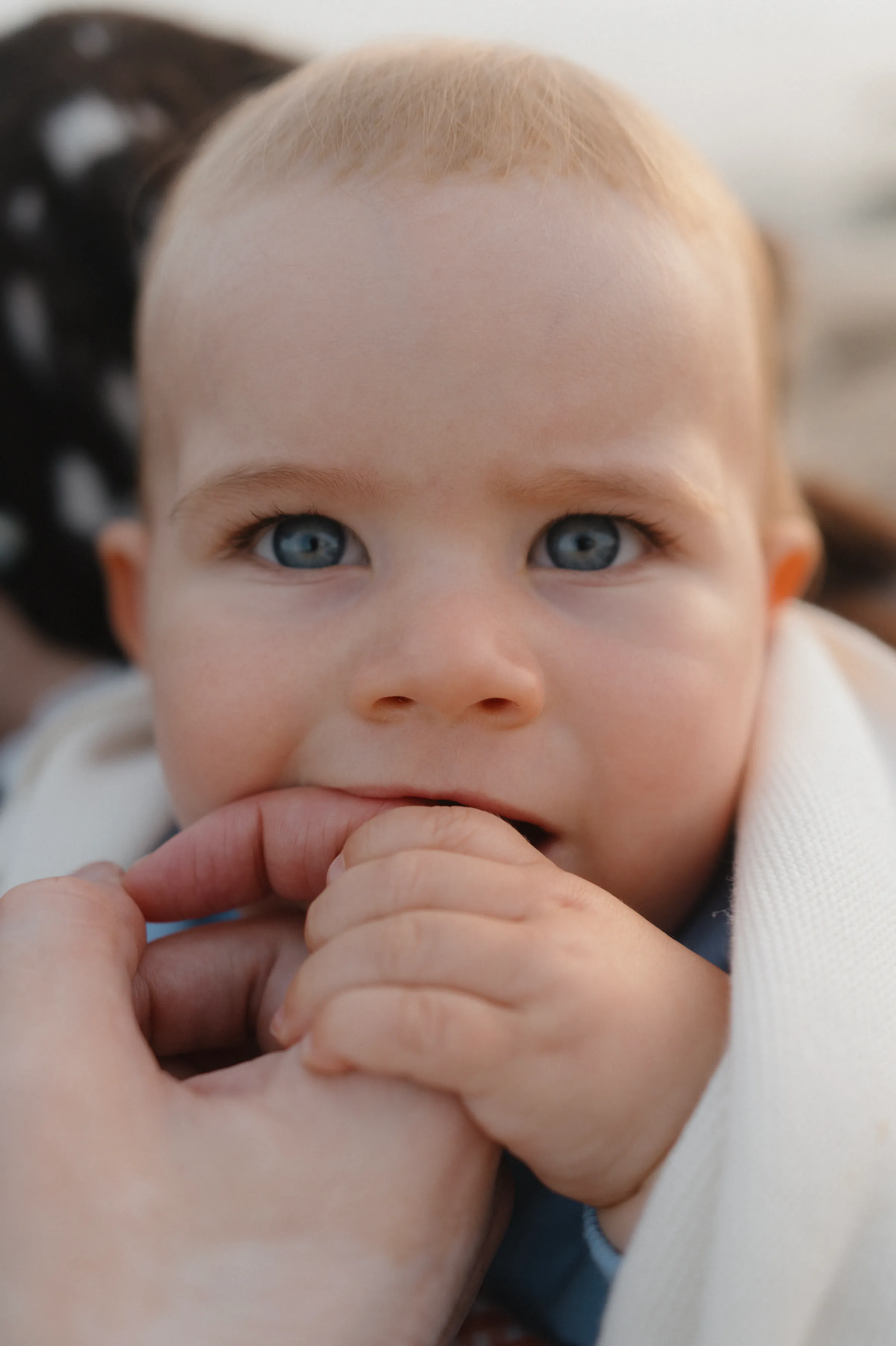 Close portrait of a baby holding an adult's finger, wrapped in a light blanket with soft light.