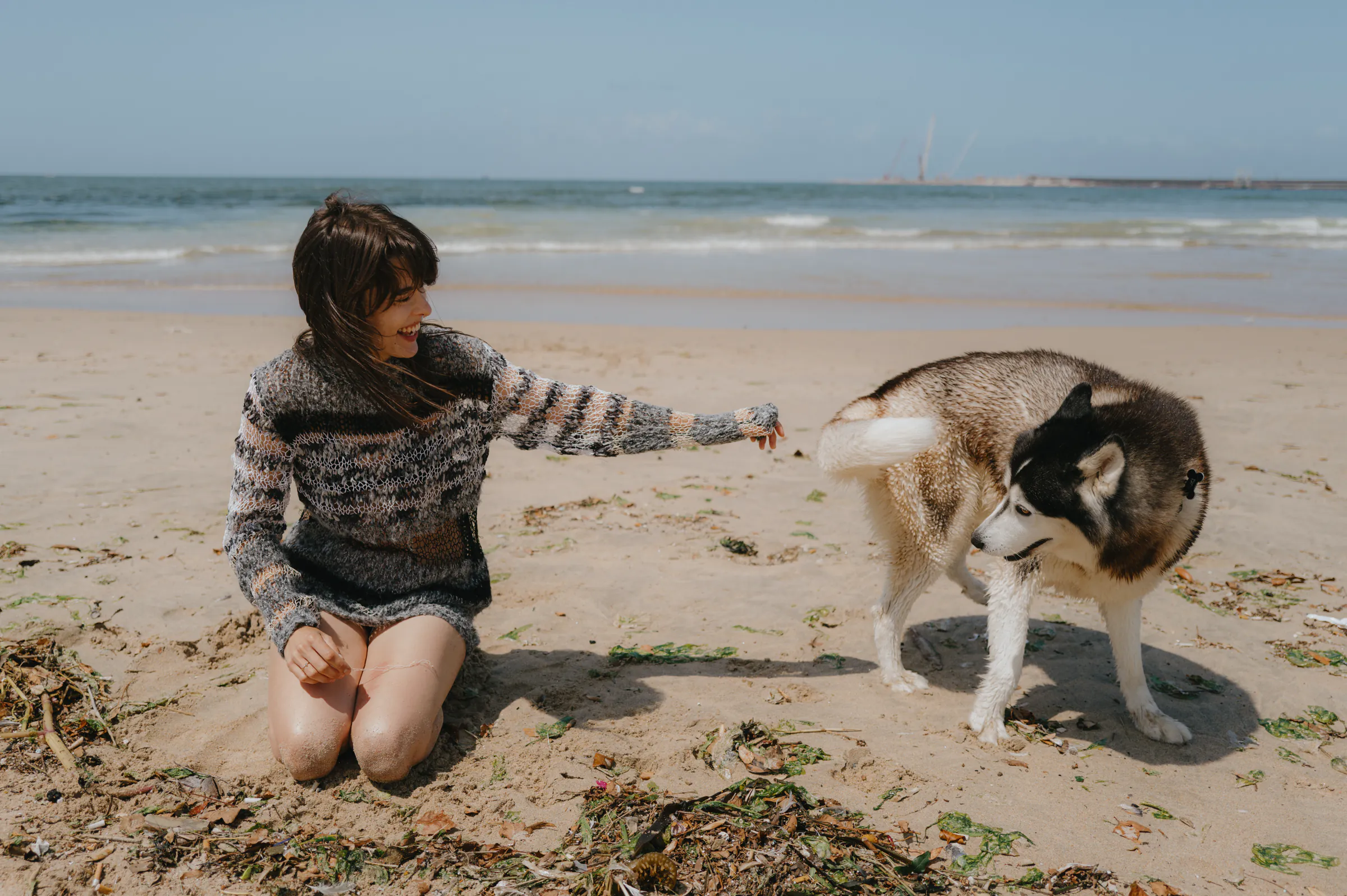 Seaside outdoor session with a person kneeling on sand, reaching toward a husky as waves roll behind.